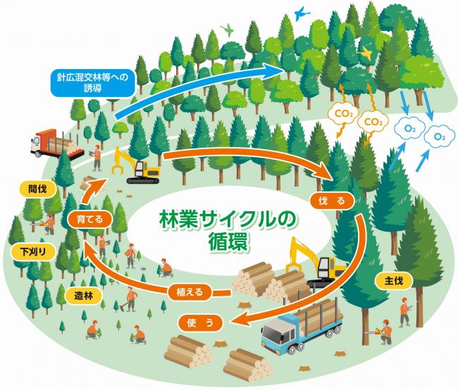 林業サイクル