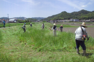 草刈り風景１