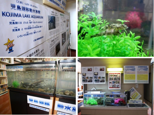藤田移動水族館