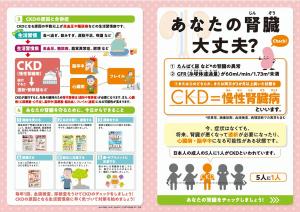 あなたの腎臓大丈夫？