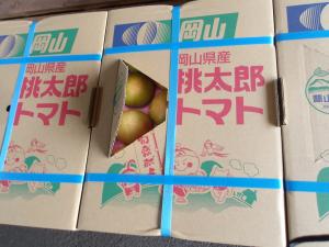 トマトの出荷箱は、蓋にある窓から中のトマト様子が見えます