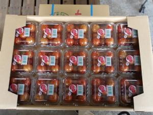 15パック詰めされたミニトマトの出荷箱