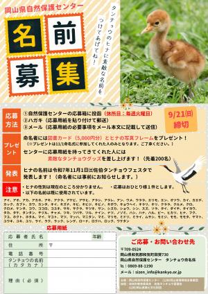 チラシ