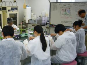 体験教室の様子