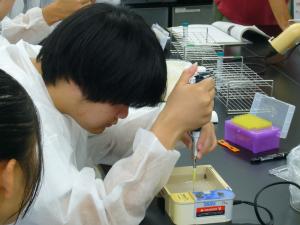 体験教室の様子