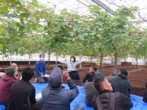 ハウス見学で土づくりを学ぶ