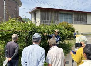 普及指導員がサルナシの枝管理について説明している写真