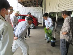 目合わせ会で収穫基準を確認
