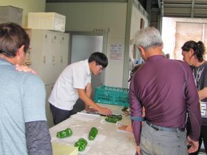出荷規格を確認する生産者の写真
