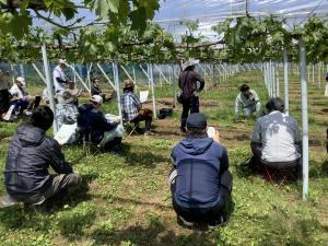 栽培管理の説明を聞く生産者