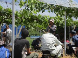 房を見ながらの講習に、眺め入る参加者