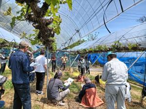 栽培管理の説明を聞く生産者