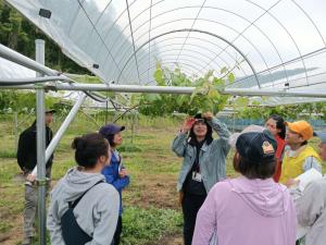 花穂整形を実演する普及指導員