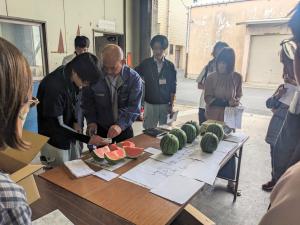 目揃会の様子
