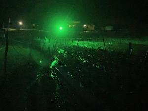 夜間に点灯する防蛾灯