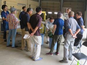 りんどうの出荷規格の目合わせをする組合員